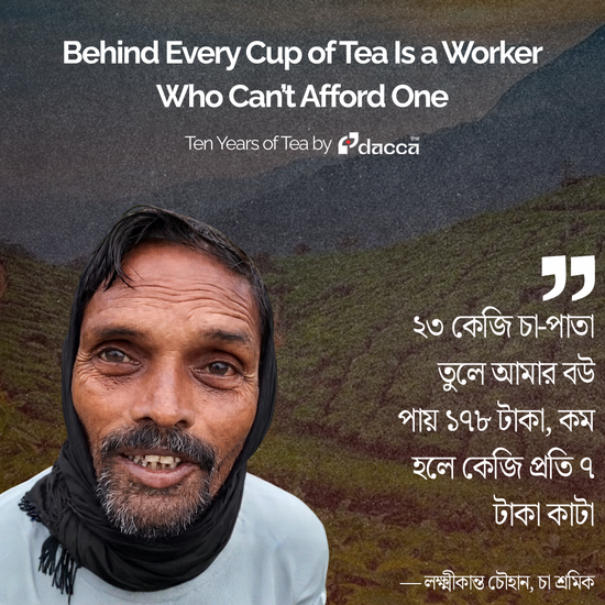 Image of: Ten Years of Tea